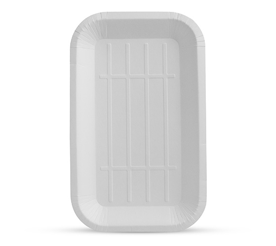 Paper Plate 8 in (no printed)